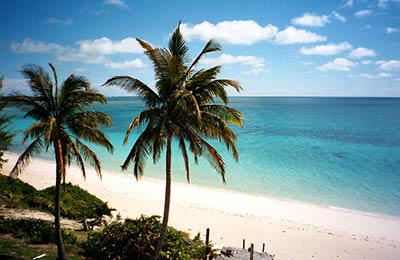 Najlepsze ceny znalezione przez naszych klientów