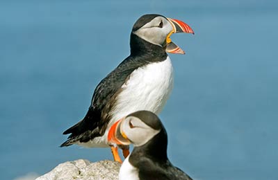 Najlepsze ceny znalezione przez naszych klientów