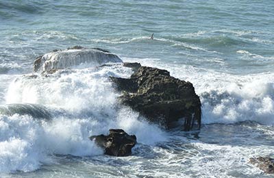 Sprawdź najnowsze oferty specjalne na AFerry