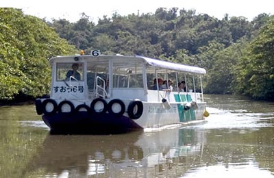 Przeprawa z Ishigaki Dream Tours to czysta przyjemność